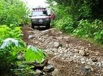 North Chehalis Lake and Fossil Beach - May 2014 029