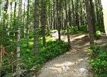 Saturday morning all day off-road run - Cowichan LR Rally in the Valley - June 2014 013