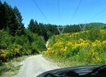 Cowichan LR Rally in the Valley - June 2014 021