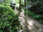 Cowichan LR Rally in the Valley - June 2014 047