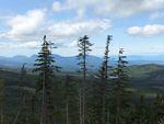 IMG_2338.JPG