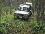 IMG_0838.jpg