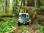 Berubies Squamish Run - June 2014 170
