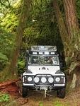 Berubies Squamish Run - June 2014 172