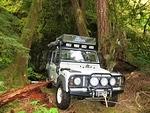 Berubies Squamish Run - June 2014 173