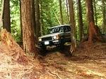 Berubies Squamish Run - June 2014 179