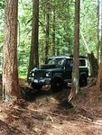 Berubies Squamish Run - June 2014 180