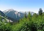 Blowdown Pass - July 2014 006