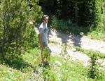Blowdown Pass - July 2014 018