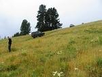 Placer Mountain-Ashnola Traverse - July 2014 066