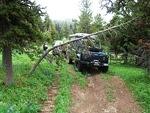 Placer Mountain-Ashnola Traverse - July 2014 094