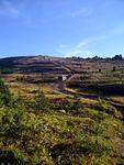 IMG-20140905-00192.jpg