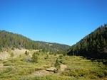 Unknown-27.jpeg