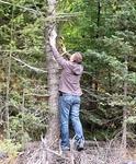 Whipsaw October-Fest Photos 2014
