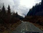 IMG_3379.JPG