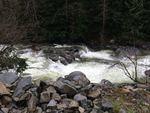 IMG_3382.JPG