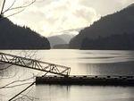 Indian Arm.jpg