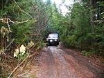 IMG 0055
