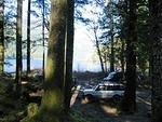 IMG 0018