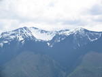 IMG 0015