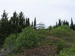 IMG 0017