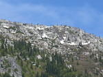 IMG 0037