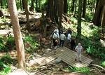 IMG 0043