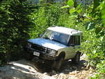 IMG 0010