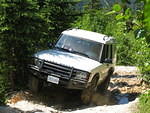 IMG 0011