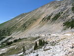 IMG 0065