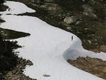 IMG 0091