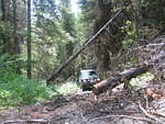 IMG 0014