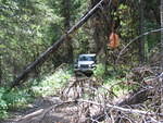 IMG 0017