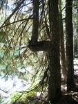 IMG 0052