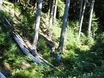 IMG 0053
