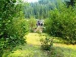 IMG 0071