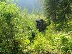 IMG 0085