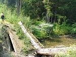 IMG 0097