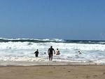 Surf is Up.JPG