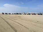 IMG_1155.JPG