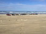 IMG_1161.JPG