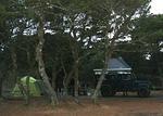 Nehalem Bay State Park - Day 1