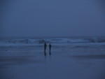 Nehalem Bay State Park - Day 1