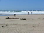 Siltcoos Sand Dune & Beach Exploring - Day 3