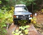 IMG 0029