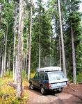 IMG 0084