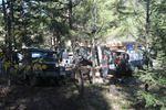 DSC_5493.jpg