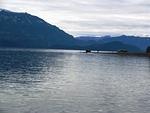 IMG 0104