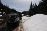 DSC_5951.jpg