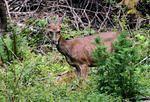 DSC_6152.jpg